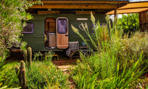 Gallery for business