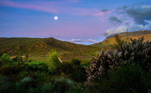 Gallery for business