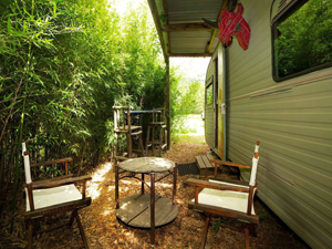 Gallery for business