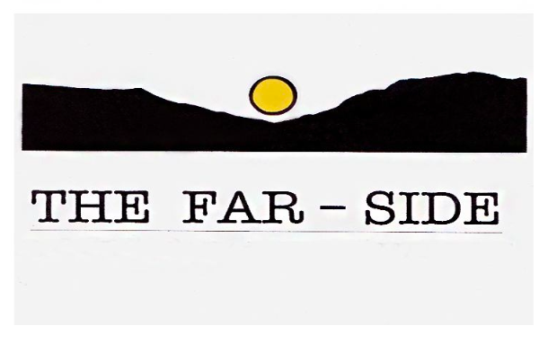 The Far Side Experience  logo